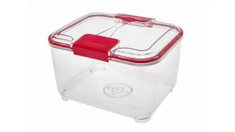 food container for fruit and vegetables